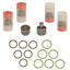 1040186 - BD P7100 Delivery Valve Kit - Dodge 1994-1998