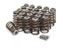 Picture of XDP Performance Valve Spring & Retainer Kit - Dodge 5.9L/6.7L Cummins 1998.5-2024